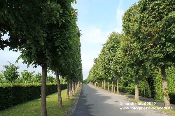 Bayreuth Eremitage - Hauptalle Westblick